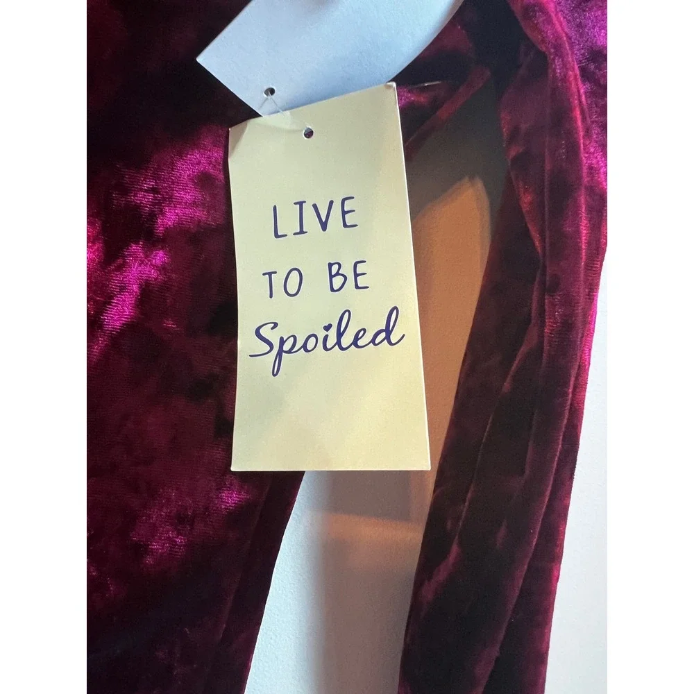 Live to be Spoiled Velvet Ruched Bodycon Dress Wine Long Sleeve Sz Medium‎ NWT - Picture 4 of 9
